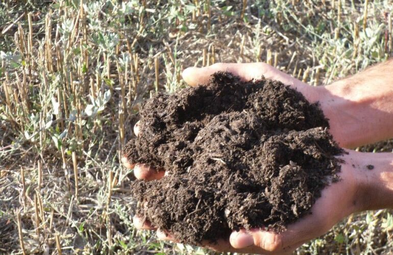 Ammendante compost